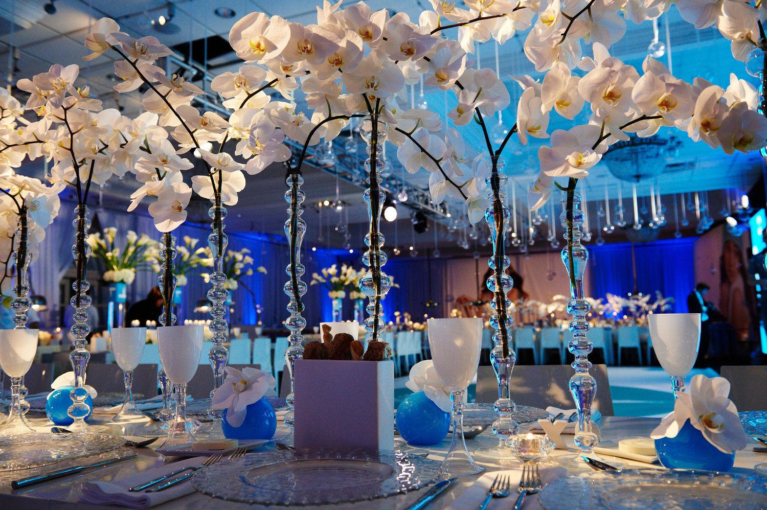 Plan Your Next Party!